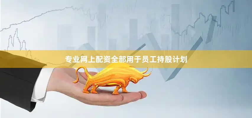 专业网上配资全部用于员工持股计划