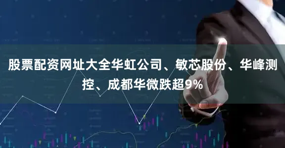 股票配资网址大全华虹公司、敏芯股份、华峰测控、成都华微跌超9%